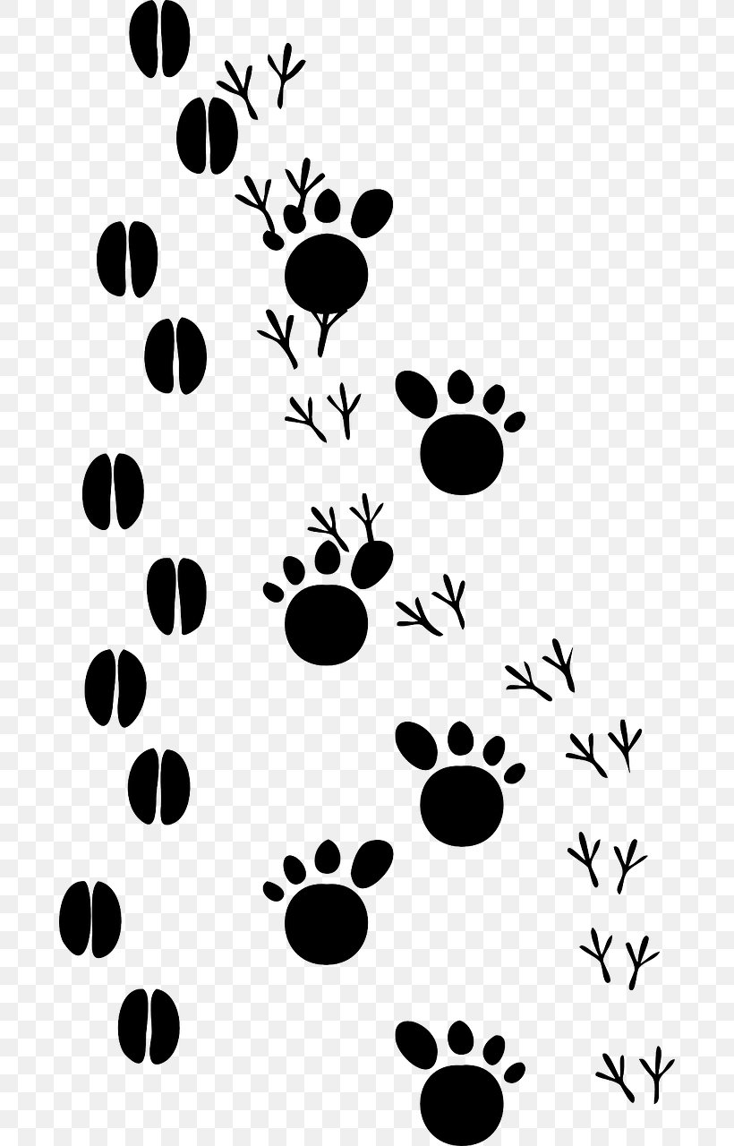 Paw Animal Track Footprint Animal Print Clip Art, PNG, 688x1280px, Paw, Animal, Animal Print, Animal Track, Black Download Free
