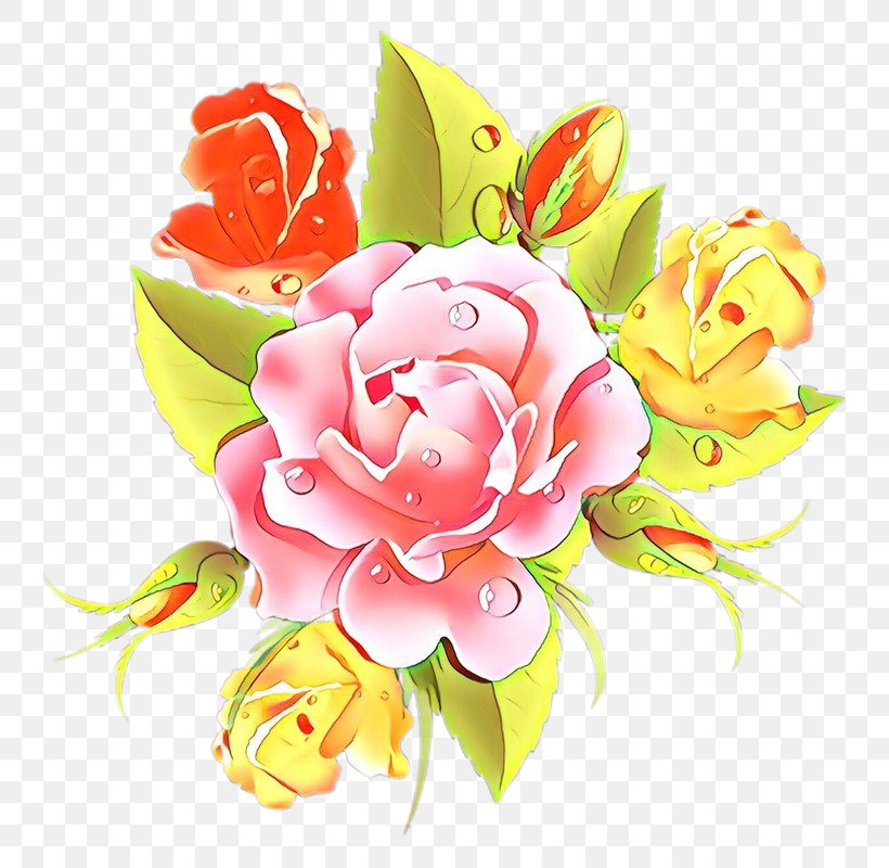 Rose, PNG, 787x800px, Cartoon, Cut Flowers, Flower, Peach, Petal Download Free