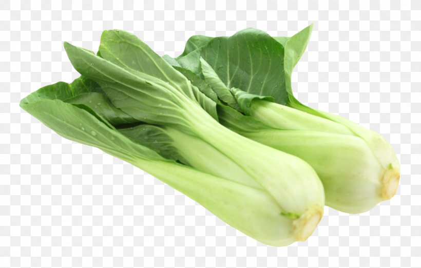 Bok Choy Vegetable, PNG, 1200x765px, Bok Choy, Celery, Chard, Chinese Cabbage, Choy Sum Download Free