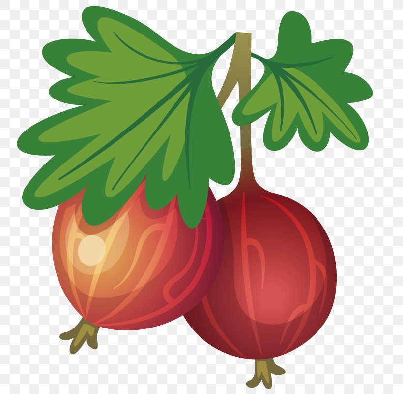 Pomegranate Clip Art, PNG, 800x800px, Pomegranate, Apple, Auglis, Berry, Cooking Download Free