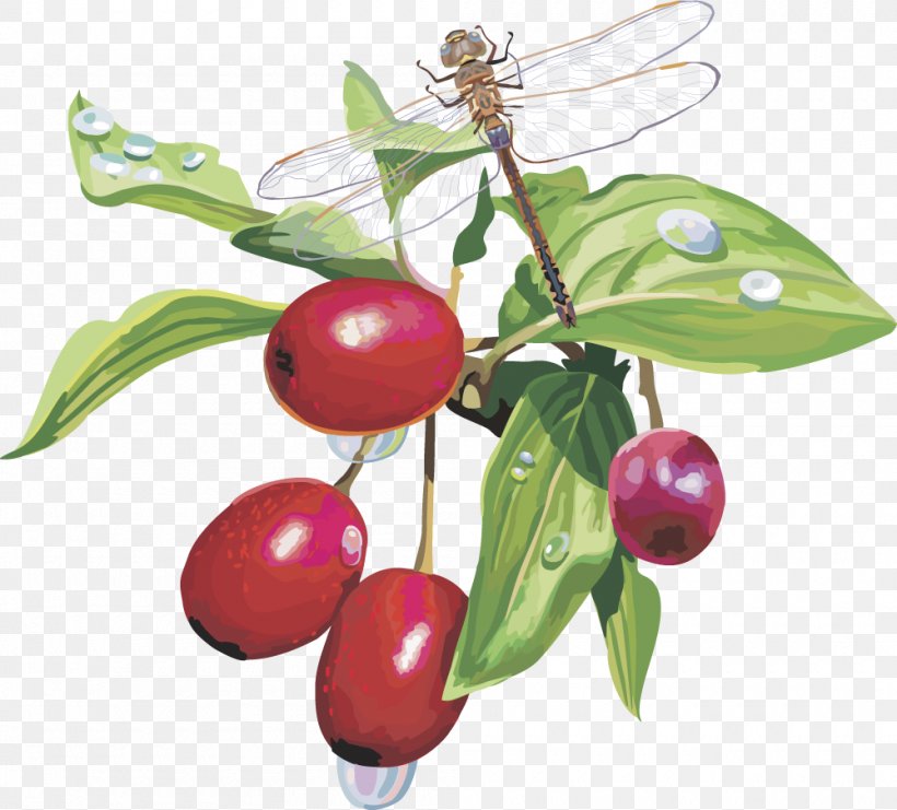 Berry Aedmaasikas Clip Art, PNG, 1000x904px, Berry, Aedmaasikas, Auglis, Blueberry, Cherry Download Free