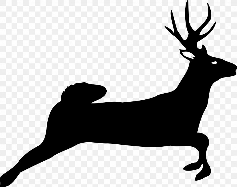 White-tailed Deer Moose Clip Art, PNG, 1920x1520px, Deer, Antler, Black, Black And White, Deer Hunting Download Free