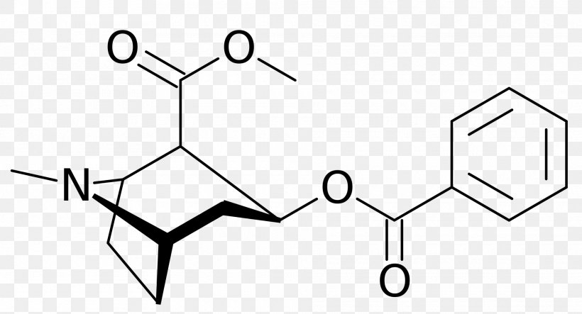 Cocaine Alkaloid Drug Chemical Compound Erythroxylum Coca, PNG, 1920x1038px, Cocaine, Agonist, Alkaloid, Area, Base Download Free