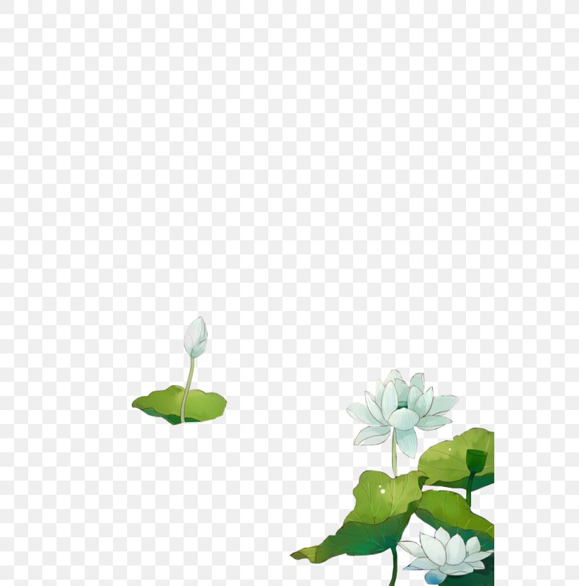 Lixia Illustration, PNG, 580x829px, Lixia, Art, Cartoon, Color, Floral Design Download Free