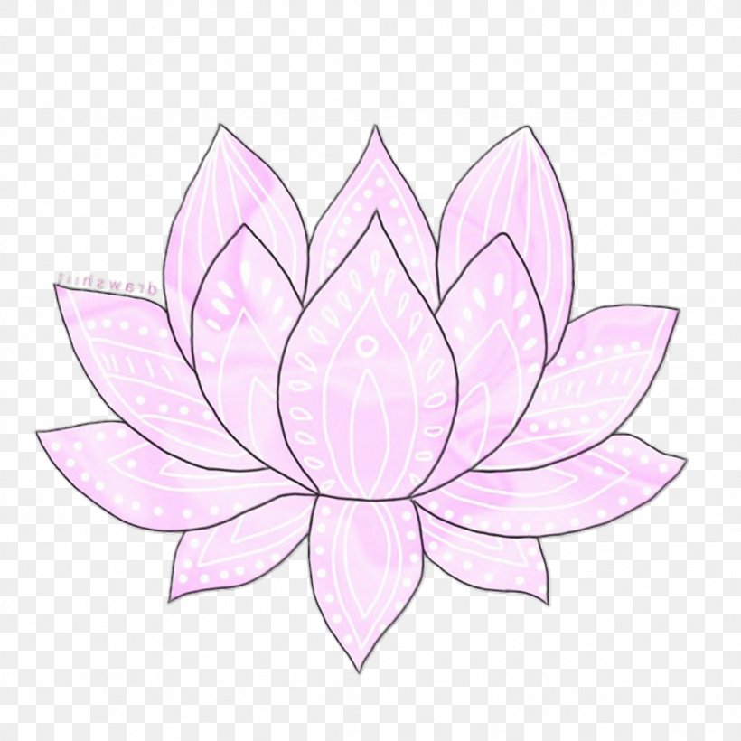 Lotus, PNG, 1024x1024px, Watercolor, Aquatic Plant, Flower, Lotus, Lotus Family Download Free