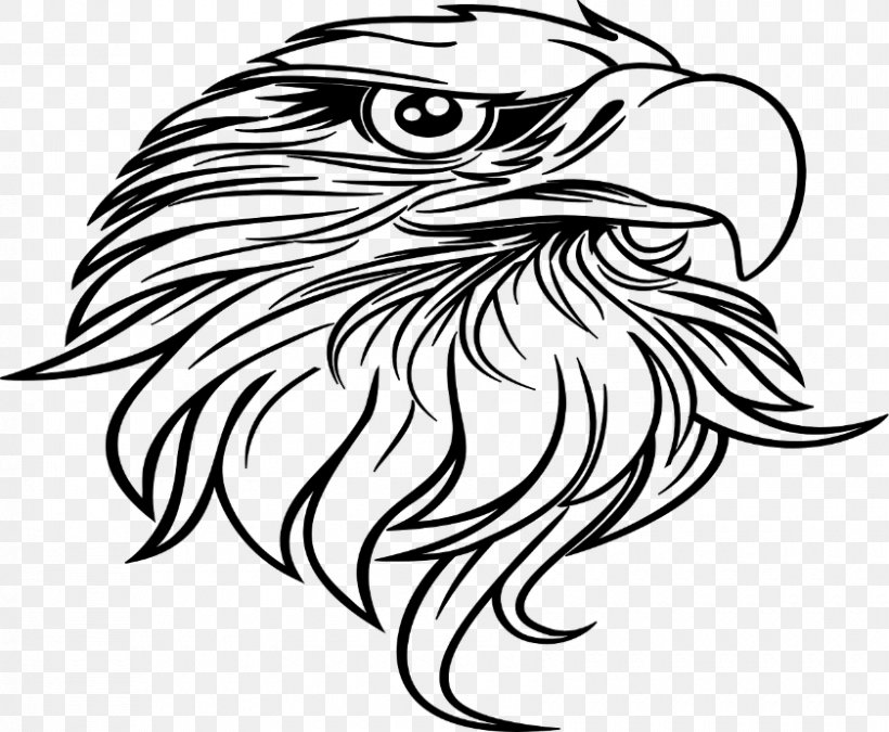 Bald Eagle Drawing Black-and-white Hawk-eagle Clip Art, PNG, 840x692px, Bald Eagle, Accipitridae, Art, Artwork, Beak Download Free