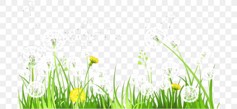 Download Icon, PNG, 700x378px, Grasses, Computer, Dandelion, Energy, Flora Download Free