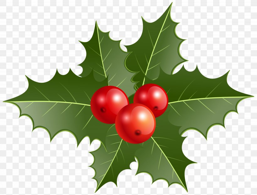 Mistletoe Common Holly Christmas Clip Art, PNG, 8000x6081px, Mistletoe, Aquifoliaceae, Aquifoliales, Berry, Christmas Download Free