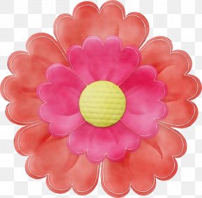 Gerbera Plant - Pink Petal Flower Plant Gerbera PNG