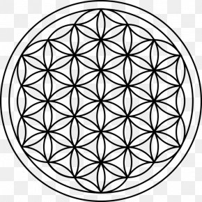 T-shirt - Sacred Geometry Overlapping Circles Grid Metatron's Cube PNG
