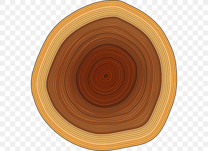 Wood Lumberjack Tree Stump Clip Art, PNG, 576x597px, Wood, Can Stock Photo, Dishware, Firewood, Log Cabin Download Free