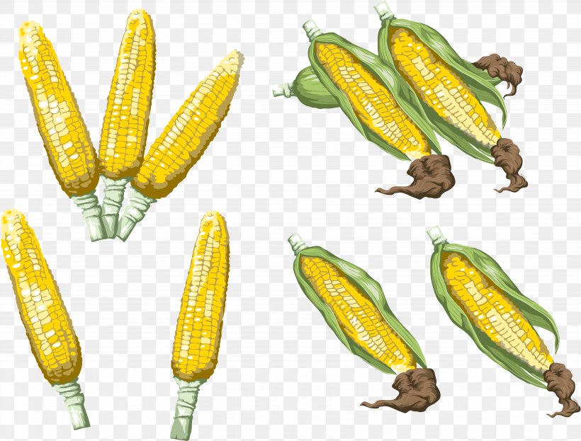 Corn Download Image Adobe Photoshop, PNG, 6548x4976px, Corn, Advertising, Cartoon, Commodity, Corn On The Cob Download Free