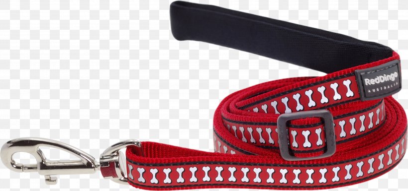 Dog Collar Dingo Leash Cat, PNG, 3000x1410px, Dog, Cat, Collar, Dingo, Dog Bite Download Free