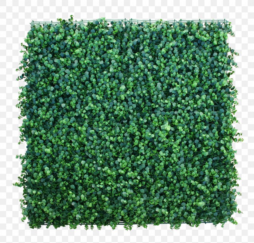 Hedge Garden Green Wall Lawn Artificial Turf, PNG, 1000x955px, Hedge, Artificial Turf, Bonsai, Box, Evergreen Download Free