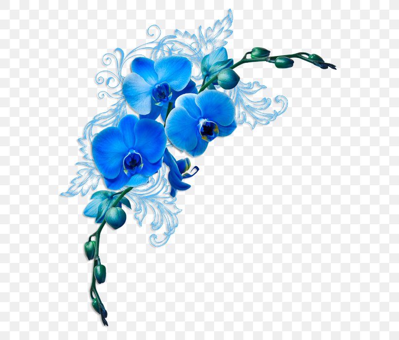 Morning Image Friendship Smiley Photograph, PNG, 600x698px, Morning, Blue, Cut Flowers, Drawing, Floral Design Download Free