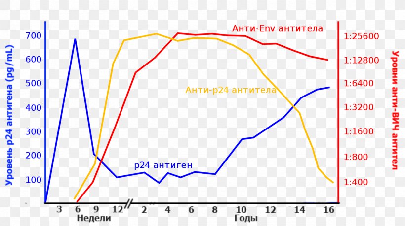 P24 Capsid Protein Antigen AIDS Antibody HIV, PNG, 1280x718px, P24 Capsid Protein, Aids, Antibody, Antigen, Antigen Presentation Download Free