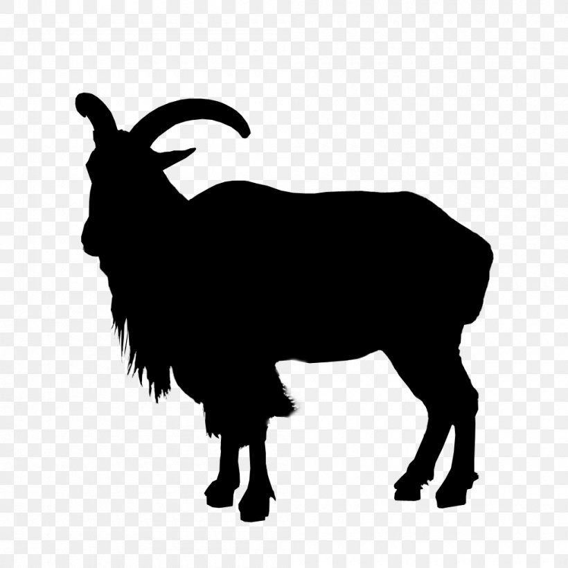 Sheep Goat Cattle Clip Art Fauna, PNG, 1000x1000px, Sheep, Bovine, Cattle, Cowgoat Family, Fauna Download Free
