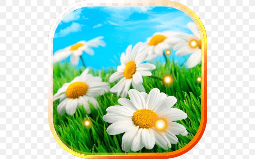 Stock Photography Landscape Flower, PNG, 512x512px, Stock Photography, Chamaemelum Nobile, Daisy, Daisy Family, Flower Download Free