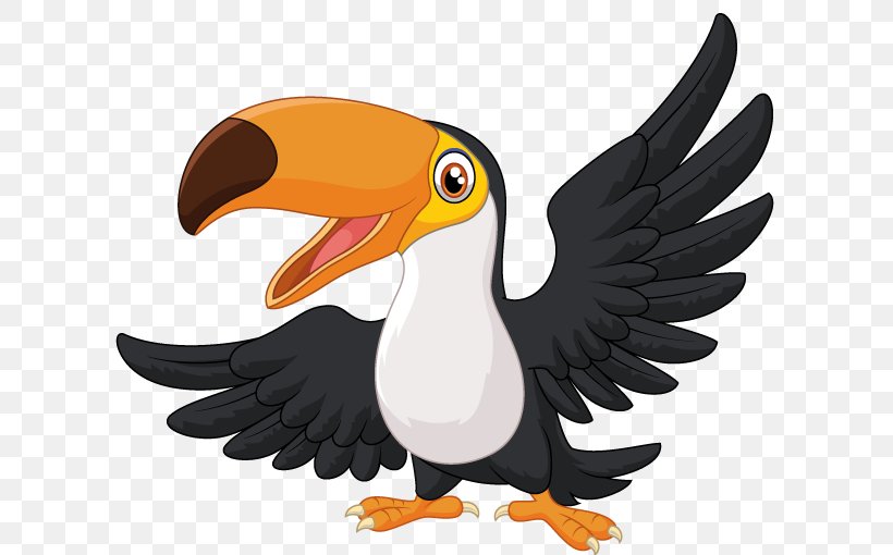 Toucan Clip Art, PNG, 624x510px, Toucan, Animal, Beak, Bird, Bird Of Prey Download Free