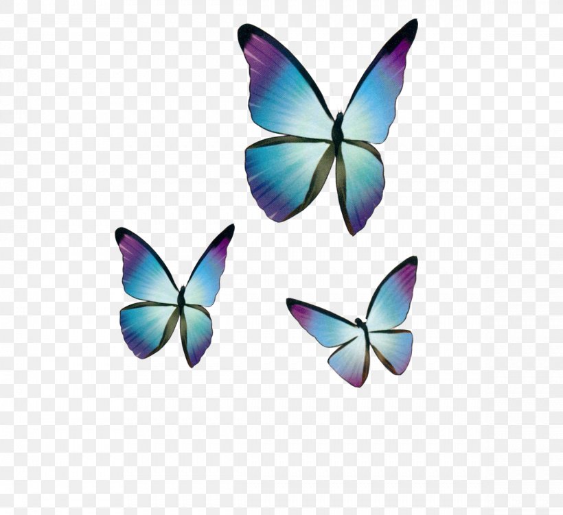 Butterfly Blue Drawing, PNG, 1189x1090px, Butterfly, Animation, Blue, Butterflies And Moths, Cartoon Download Free