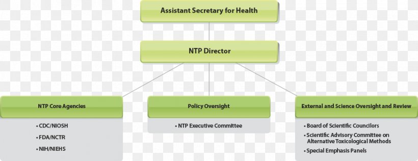 Organizational Structure National Toxicology Program Food And Drug Administration, PNG, 939x362px, Organizational Structure, Area, Brand, Business, Director Download Free