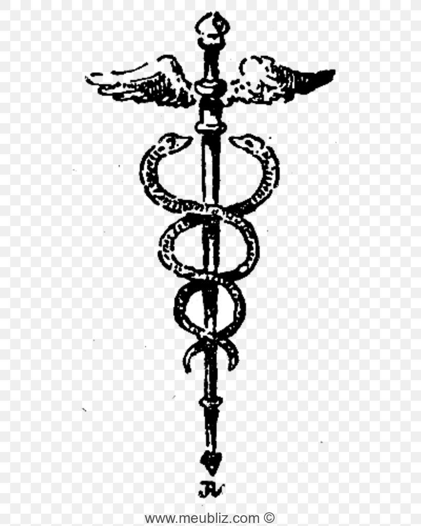 Staff Of Hermes Caduceus As A Symbol Of Medicine Mercury Snakes Definition, PNG, 541x1024px, Staff Of Hermes, Black And White, Caduceus As A Symbol Of Medicine, Cold Weapon, Cross Download Free
