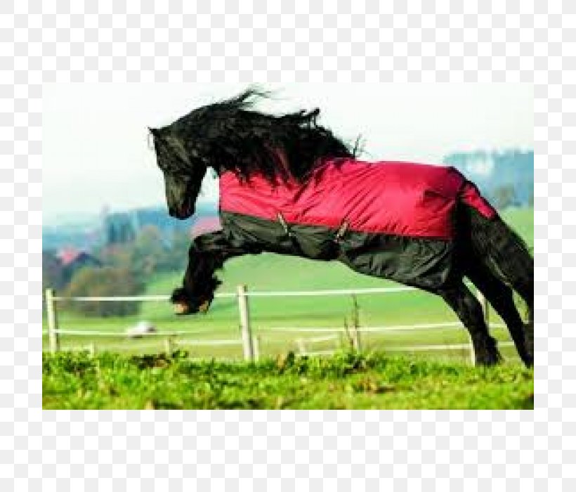 Stallion Halter Mustang Pony Carpet, PNG, 700x700px, Stallion, Blanket, Breathability, Bridle, Carpet Download Free