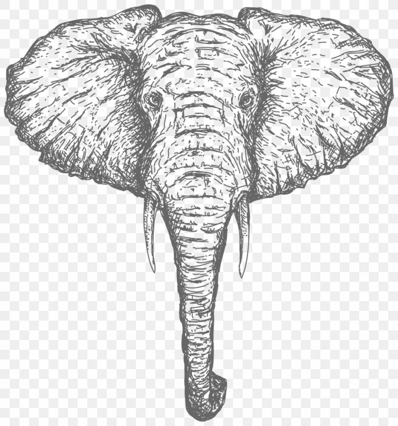 Indian Elephant Film African Elephant Videographer Wedding, PNG, 957x1024px, Indian Elephant, African Elephant, Animal, Black And White, Drawing Download Free