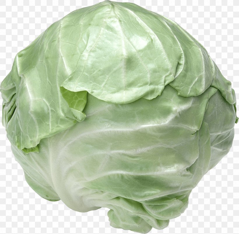 Red Cabbage Cauliflower Vegetable Brassica Rapa, PNG, 2502x2449px, Cabbage, Brassica Oleracea, Cauliflower, Collard Greens, Crop Yield Download Free