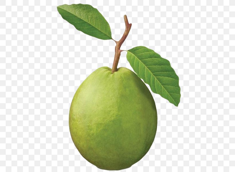 Common Guava Fruit Tree Tropical Fruit, PNG, 600x600px, Common Guava, Apple, Berry, Citrus, Food Download Free