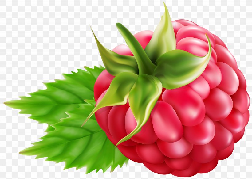 Raspberry Blackberry Clip Art, PNG, 5000x3567px, Raspberry, Berry, Blackberry, Blog, Diet Food Download Free