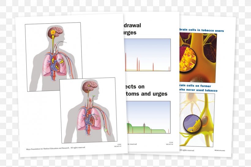 Nicotine Dependence Anatomy Substance Dependence Tobacco, PNG, 1400x930px, Nicotine, Advertising, Anatomy, Brand, Clinic Download Free