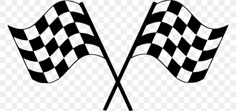 Racing Flags Auto Racing Car, PNG, 768x388px, Racing Flags, Auto Racing, Black, Black And White, Car Download Free