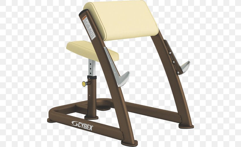 Bench Cybex International Exercise Equipment Weight Training Biceps Curl, PNG, 500x500px, Bench, Barbell, Bench Press, Biceps Curl, Chair Download Free