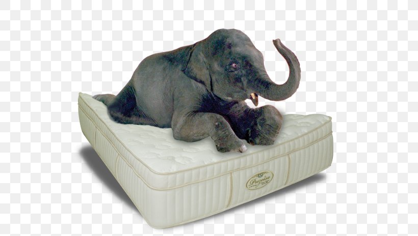 Mattress Bedroom Furniture Sets Indian Elephant Headboard, PNG, 600x464px, Mattress, Bed, Bedding, Bedroom, Bedroom Furniture Sets Download Free