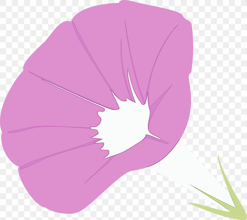 Pink Violet Purple Petal Leaf, PNG, 3000x2668px, Morning Glory Flower, Flower, Leaf, Magenta, Morning Glory Download Free