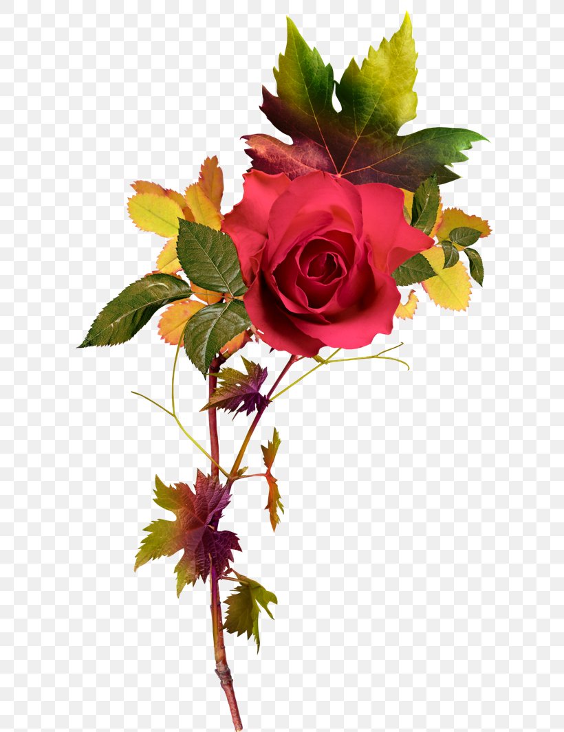 Rose Clip Art, PNG, 650x1065px, Rose, Artificial Flower, Computer Graphics, Cut Flowers, Flora Download Free