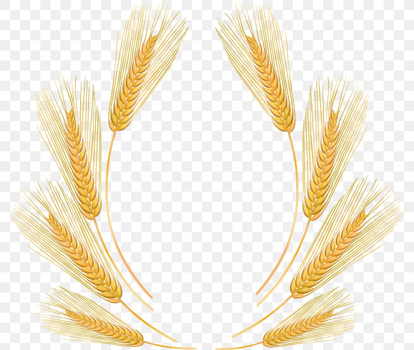 Wheat Cartoon, PNG, 781x694px, Wheat, Animation, Cartoon, Commodity, Dessin Animxe9 Download Free
