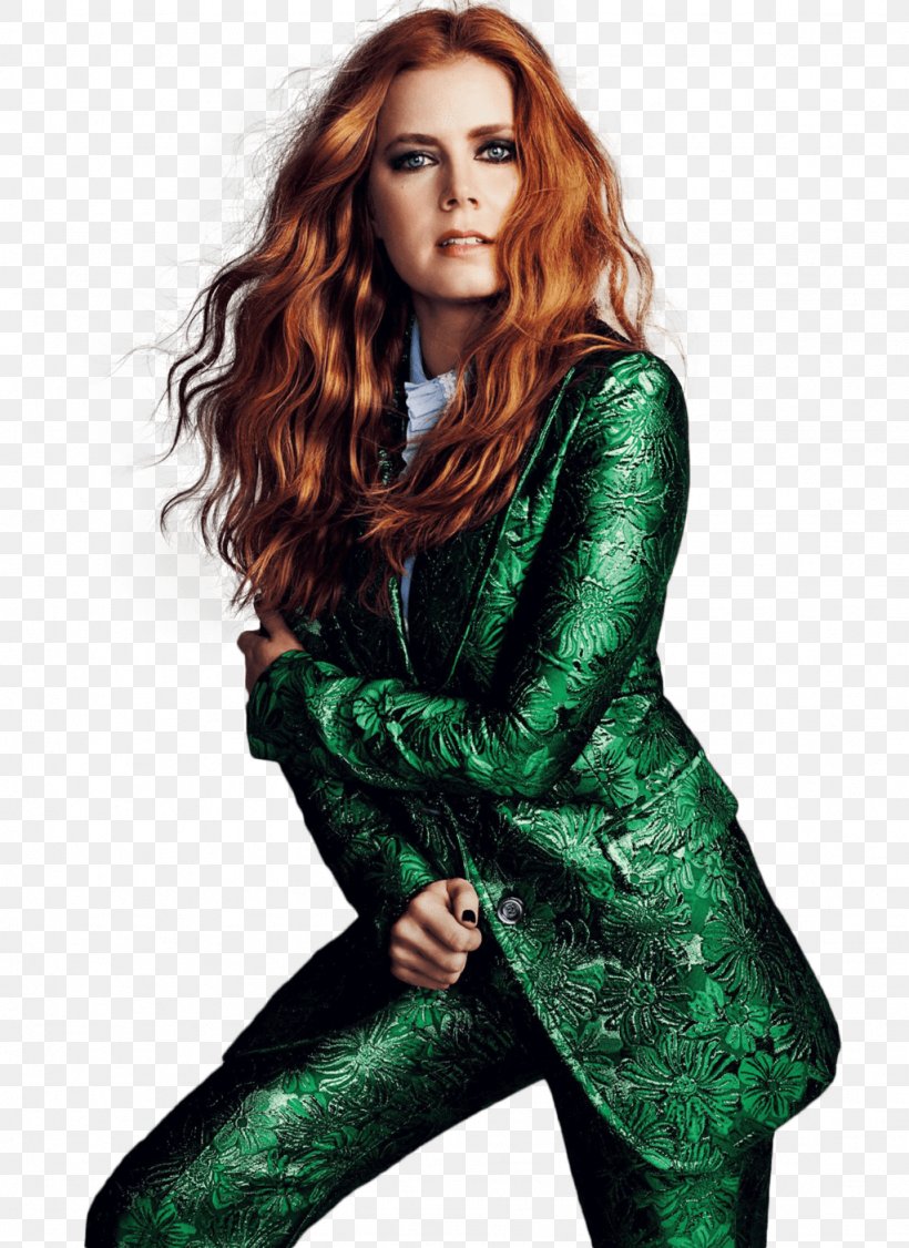 Amy Adams Her Lois Lane, PNG, 1024x1407px, Amy Adams, Actor, Brown Hair, Darren Le Gallo, Enchanted Download Free