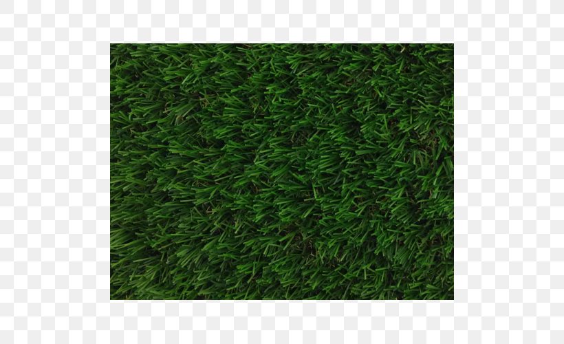 Artificial Turf Lawn Garden Carpet Patio, PNG, 500x500px, Artificial Turf, Carpet, Evergreen, Garden, Grass Download Free