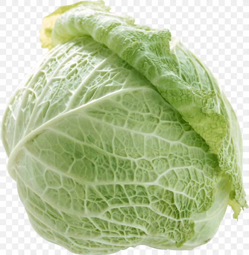 Napa Cabbage Capitata Group Chinese Broccoli Vegetable Kale, PNG, 1515x1550px, Cabbage, Brassica, Brassica Oleracea, Cabbage Family, Cauliflower Download Free
