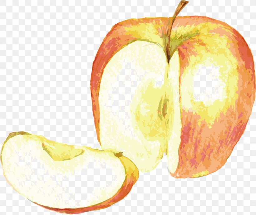 Watercolor Painting Drawing, PNG, 1440x1210px, Watercolor Painting, Accessory Fruit, Apple, Diet Food, Drawing Download Free