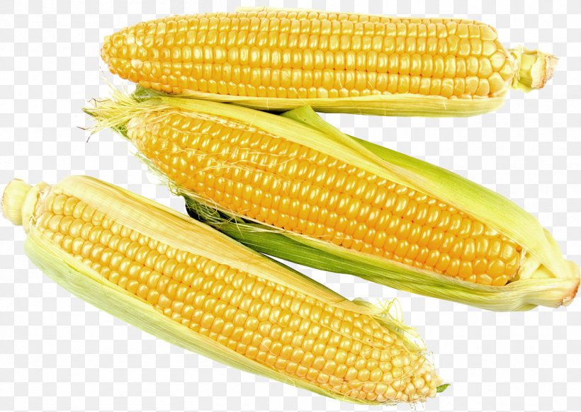 Corn On The Cob Maize Sweet Corn Corn Kernel, PNG, 1309x930px, Corn On The Cob, Commodity, Corn Kernel, Corn Kernels, Food Download Free