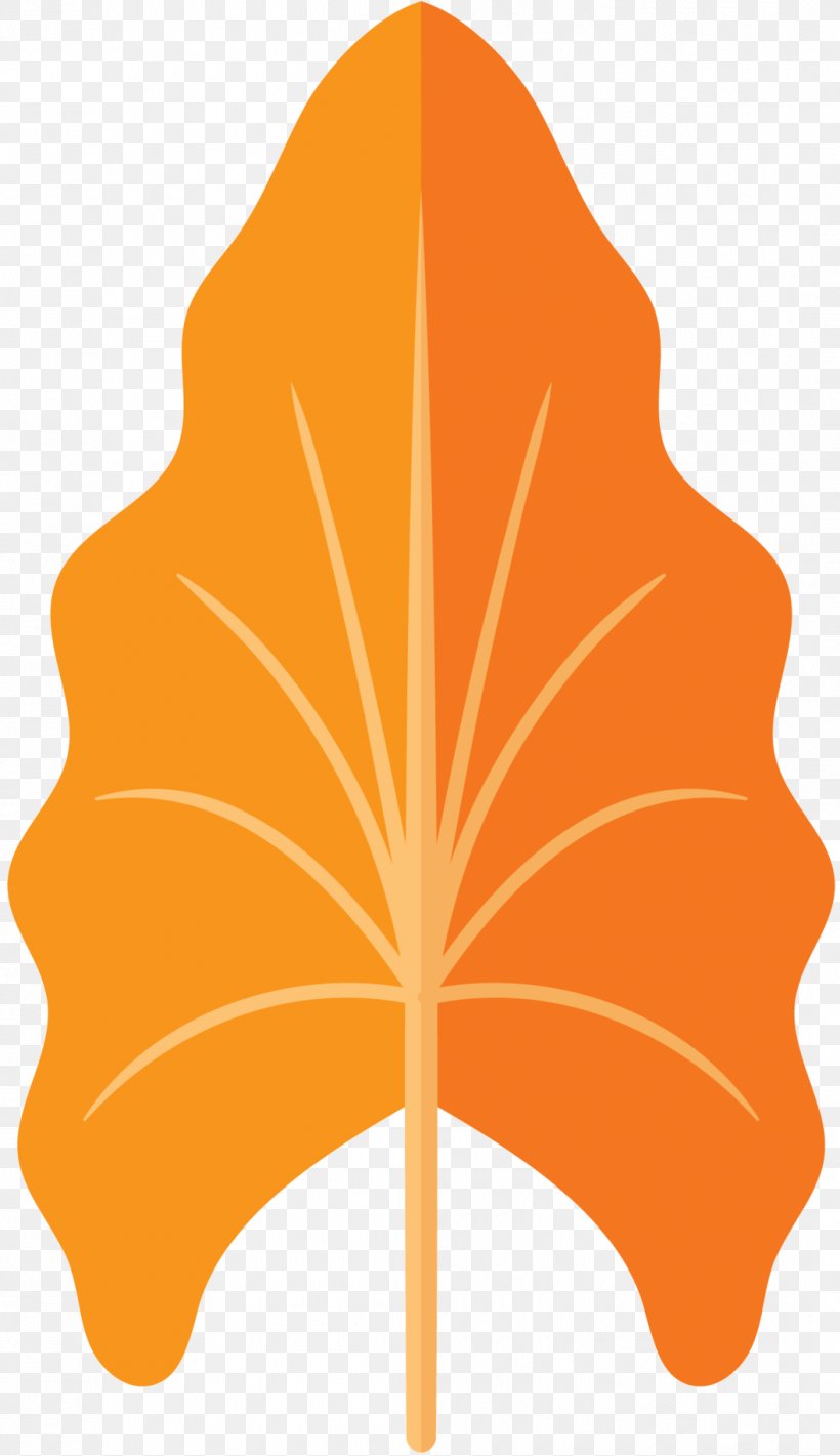 Leaf Flowering Plant Font Tree, PNG, 1057x1832px, Leaf, Flower, Flowering Plant, Maple Leaf, Orange Download Free