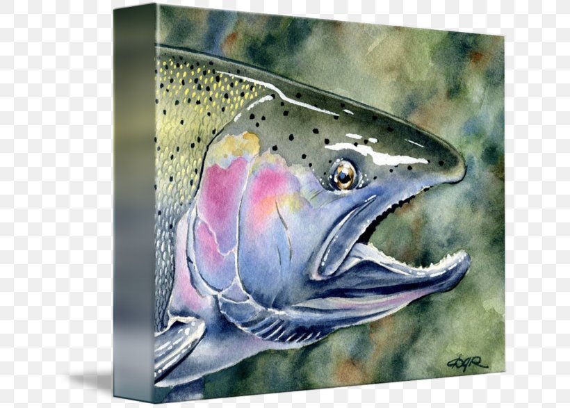 Coho Salmon 09777 Trout Painting, PNG, 650x587px, Coho Salmon, Biology, Bony Fish, Coho, Fauna Download Free