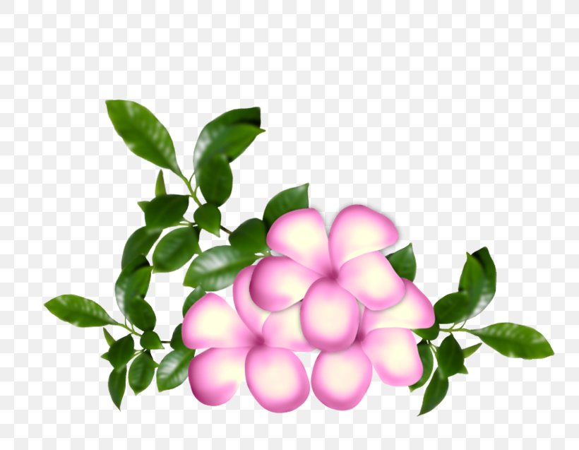 Flower Painting Petal, PNG, 800x637px, Flower, Bayan Mod, Blume, Bookmark, Branch Download Free