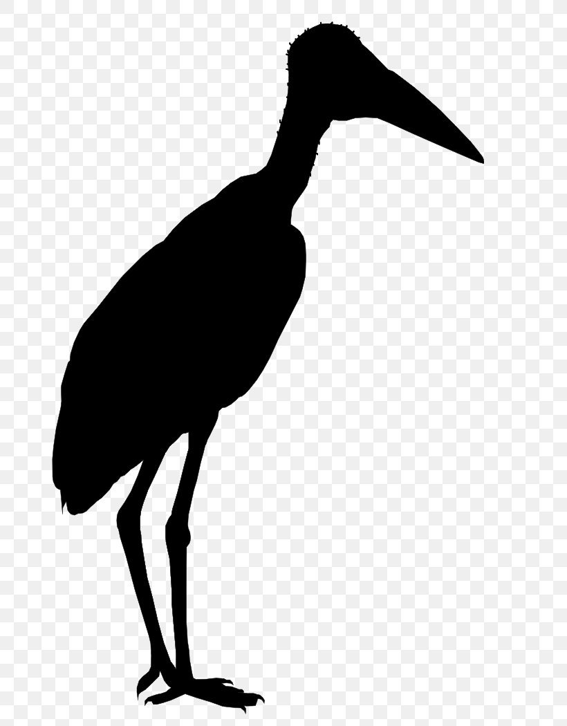 Marabou Stork Liang Bua Flores Greater Adjutant Bird, PNG, 685x1050px, Marabou Stork, Beak, Bird, Black And White, Ciconiiformes Download Free