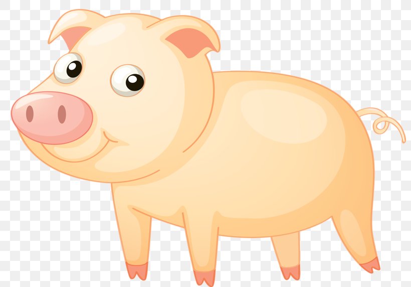 Pig Clip Art, PNG, 800x572px, Pig, Domestic Pig, Drawing, Livestock, Mammal Download Free