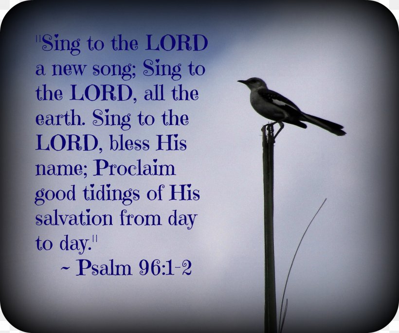 Psalms Bible Book Of Proverbs Psalm 96 New International Version, PNG, 1940x1622px, Psalms, Beak, Bible, Bird, Book Of Proverbs Download Free