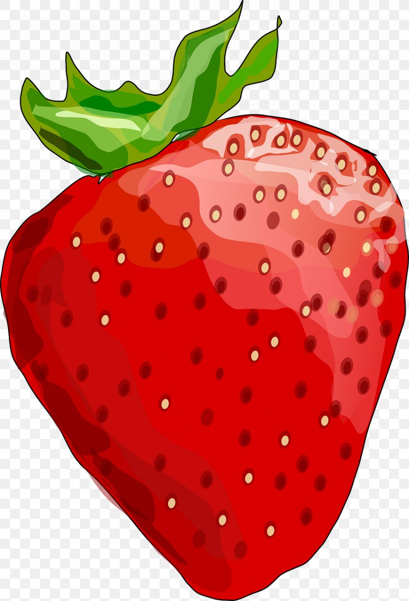 Strawberry Drawing Clip Art, PNG, 871x1280px, Strawberry, Accessory Fruit, Amorodo, Apple, Berry Download Free